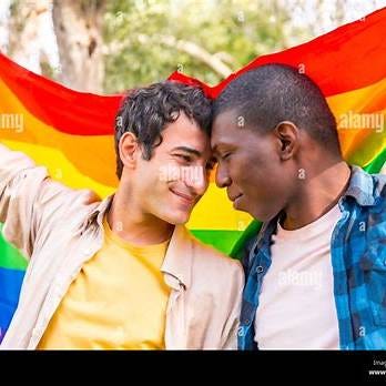 https://c8.alamy.com/comp/2R4A3J6/a-happy-and-diverse-gay-couple-stands-together-proudly-holding-a-colorful-lgbt-flag-2R4A3J6.jpg