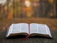 350+ Best Open Bible Pictures [HD] | Download Free Images on ...