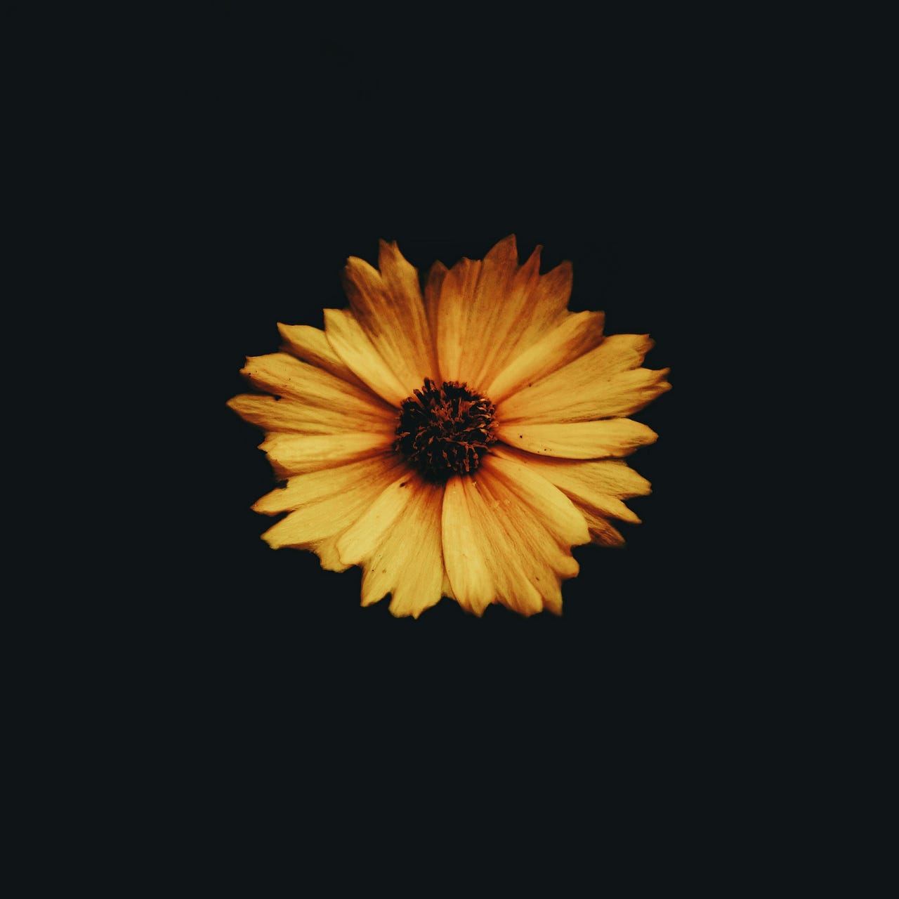 Substack profile picture for @contextual