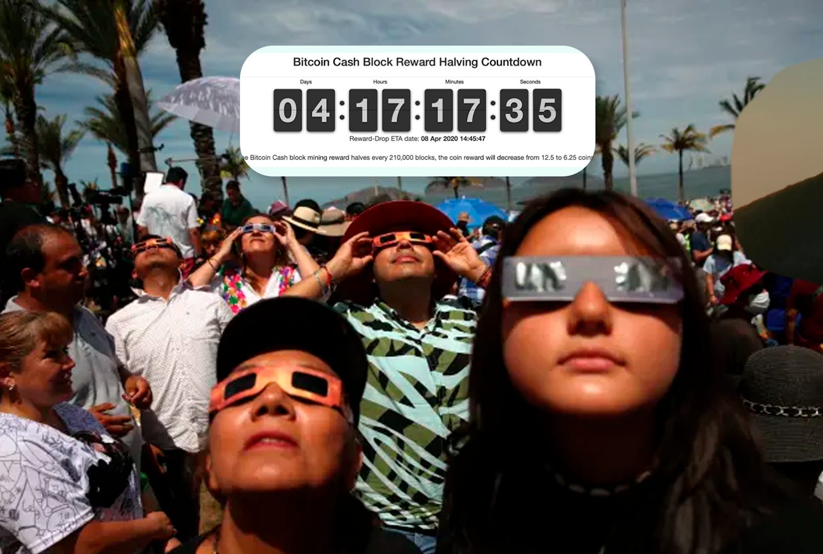 WTF Seremos Millonarios después del halving?