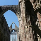 Disunited in Faith: Why the Conciliar/Synodal Church is not the Roman Catholic Church ('Zero Marks' Ch. I)