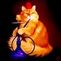HubblyBubbly Emporium's avatar