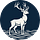 White Stag Insights