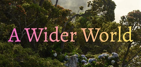 A Wider World