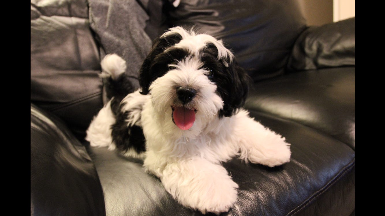 What really matters in life