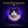 Lotus Purrspective