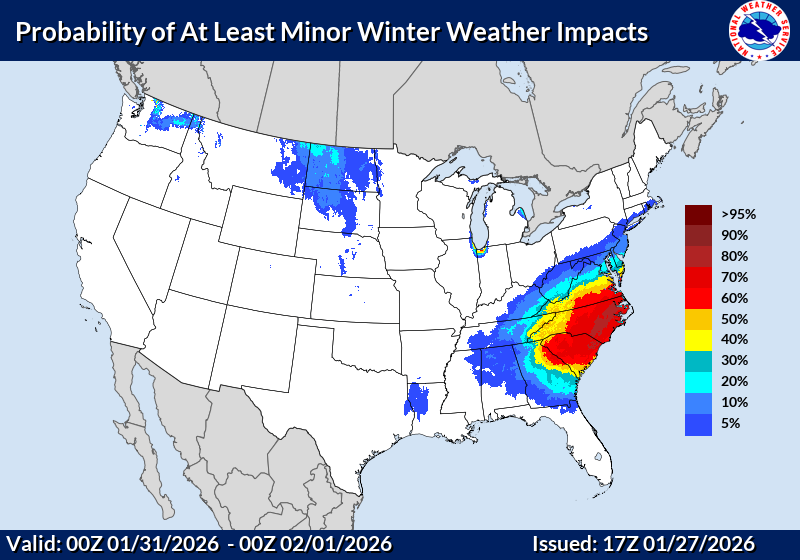 Day 4 image not available Day 4 image not available