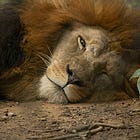 How Stories Enhance, Not Undermine Truth