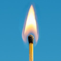 Ignite.Act.Win. Newsletter