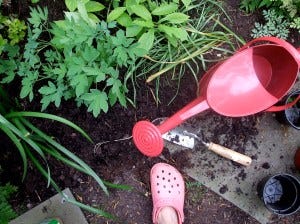 garden emergency