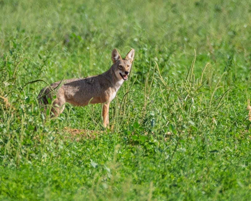 20250908-Manville-138-Edit.jpg 20250908-Manville-138-Edit.jpg