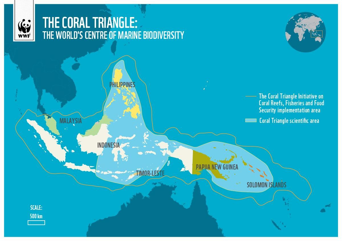 The Coral Triangle: The World's Centre of Marine Biodiversity The Coral Triangle: The World's Centre of Marine Biodiversity
