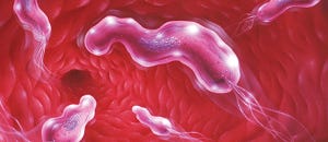 Peptic Ulcers: What You Need to Know | Pharmacy Times