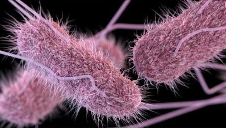That May Not Be What Gave You Food Poisoning