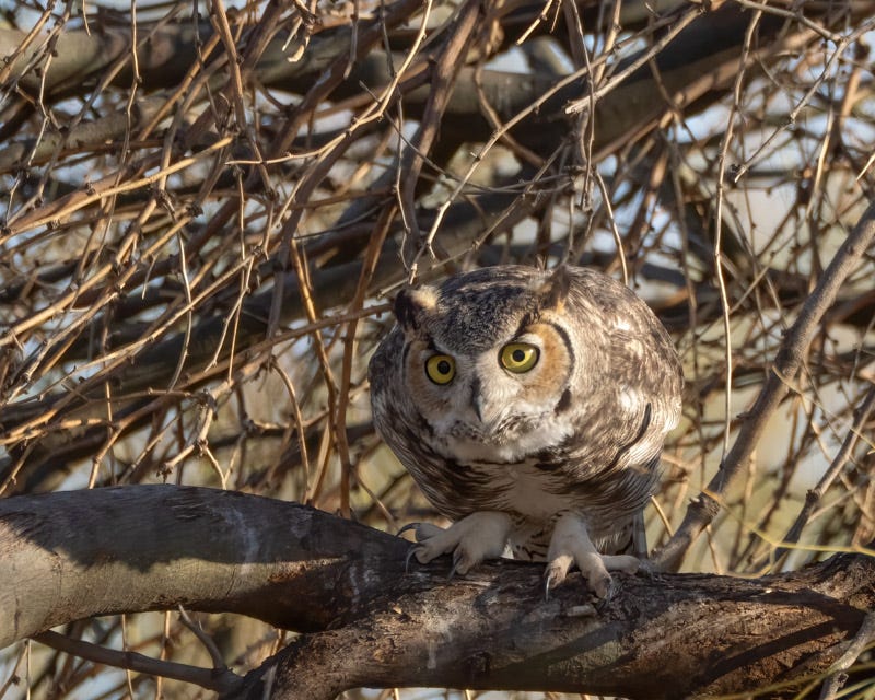 20250219-ManvilleFarm-434-Edit.jpg 20250219-ManvilleFarm-434-Edit.jpg