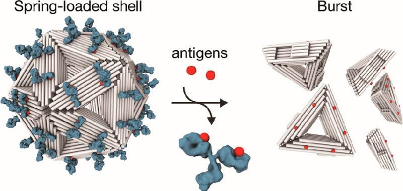 A diagram of a structure

AI-generated content may be incorrect.