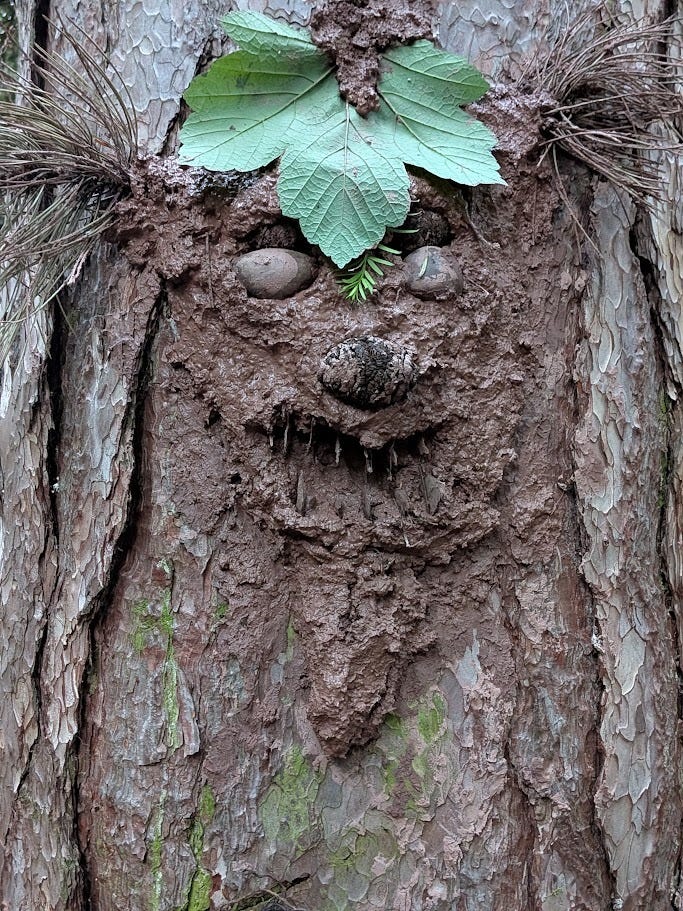 A whimsical face assembled from natural materials on the bark of a tree. Green leaves form eyebrows and hair, stones create eyes, a pine cone forms the nose, and mud and twigs shape a wide, toothy grin and pointed beard. A whimsical face assembled from natural materials on the bark of a tree. Green leaves form eyebrows and hair, stones create eyes, a pine cone forms the nose, and mud and twigs shape a wide, toothy grin and pointed beard.