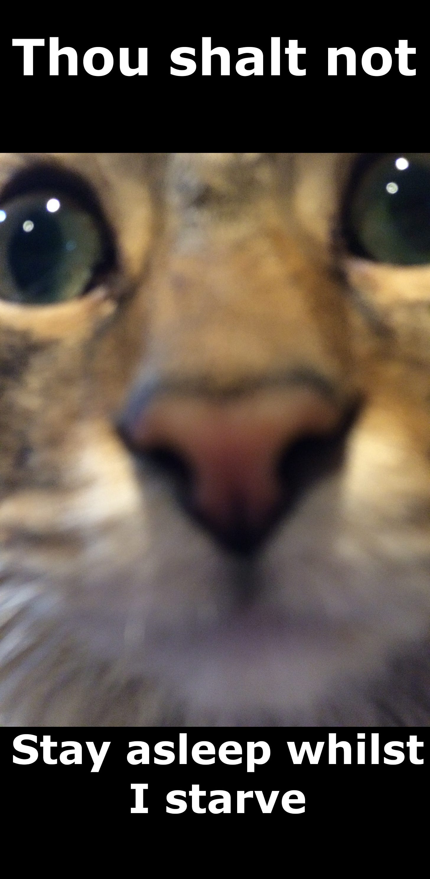 Chase Insane Close-up (lol) Chase Insane Close-up (lol)