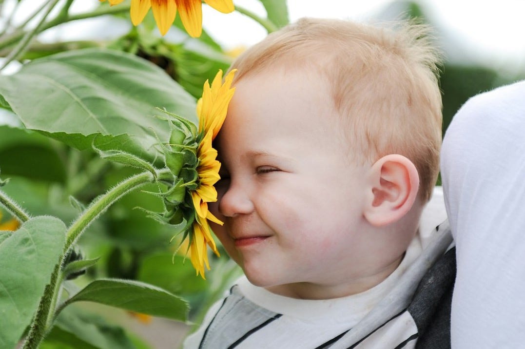 a baby in a bib is looking at a sunflower
