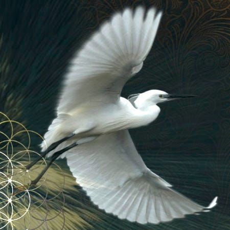 Dancing Between Realms
