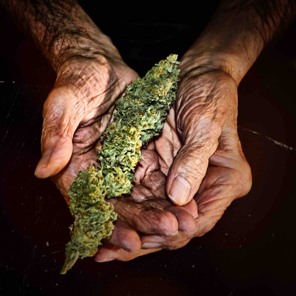 This image has an empty alt attribute; its file name is G.pa-Stash-4-a-1024x1024.jpg