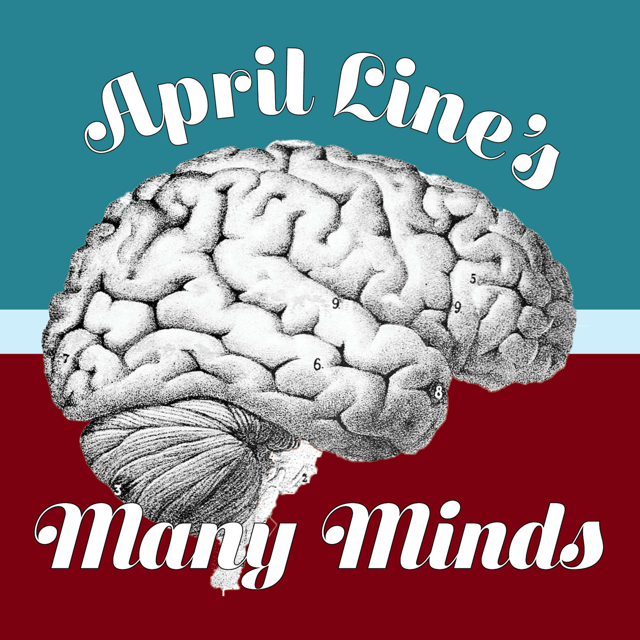 April Line's Many Minds