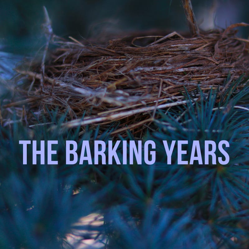 The Barking Years