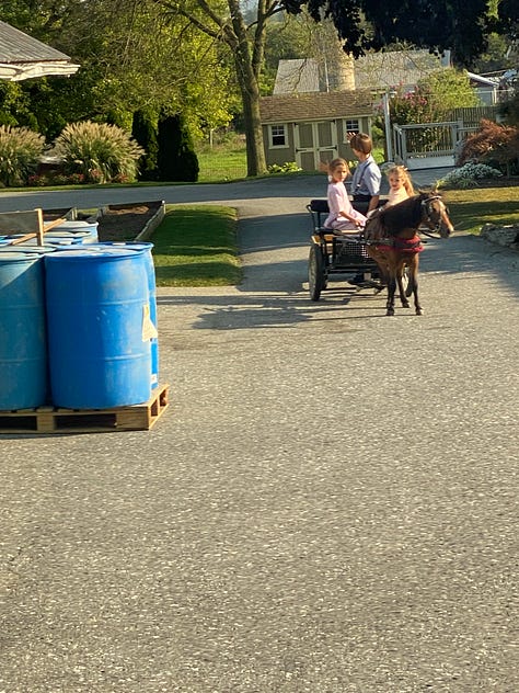 During my recent visit to The Amish Village in Lancaster, Pennsylvania, when I tried to take photos, the Amish children waved their hands to the opposite side—a gentle yet firm way of signaling their wish to remain unseen by modern technology. It’s a gesture rooted in their deep respect for tradition. As the Amish proverb says, 'A good example is the best sermon.' 🙌🚫📸