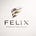 Felix Consulting Group's avatar