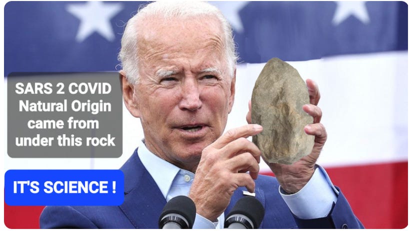 rwmalonemd.substack.com