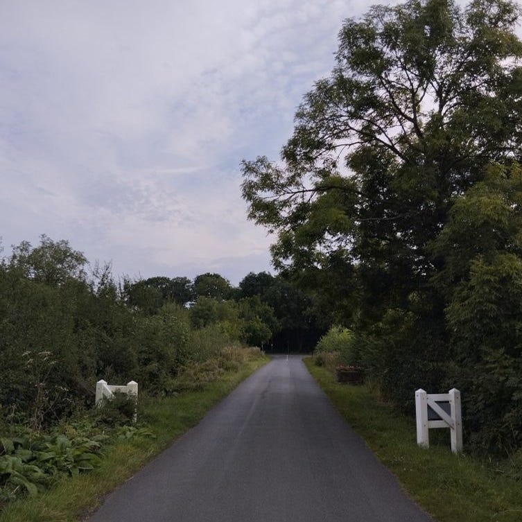 Willerby’s Substack