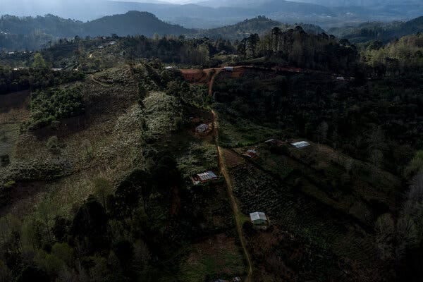 A view of coffee plantations in the mountains of southwestern Honduras. A view of coffee plantations in the mountains of southwestern Honduras.