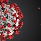 It’s Not Just the US: Excess Deaths Skyrocket Worldwide in 2021 Following Rollout of the Experimental Covid Vaccine 