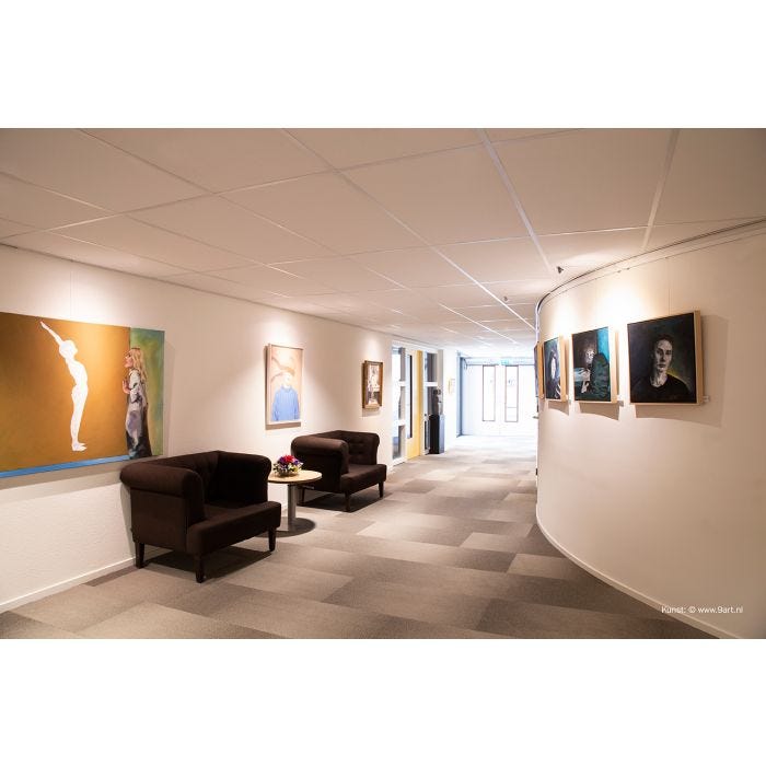 STAS rail picture hanging systems