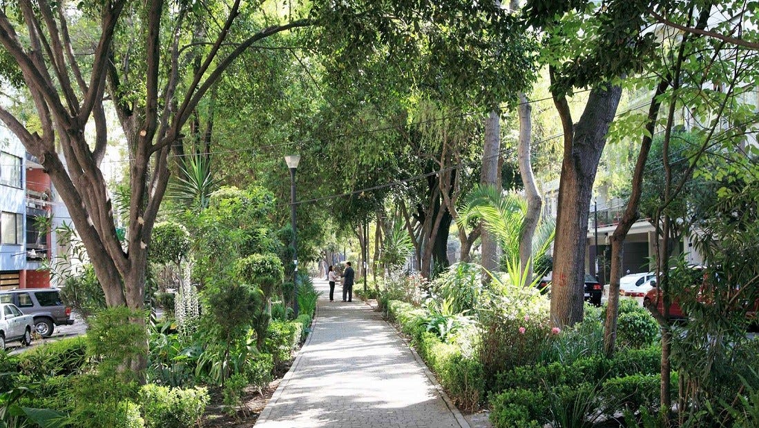 La Condesa - Learn Spanish in Mexico City