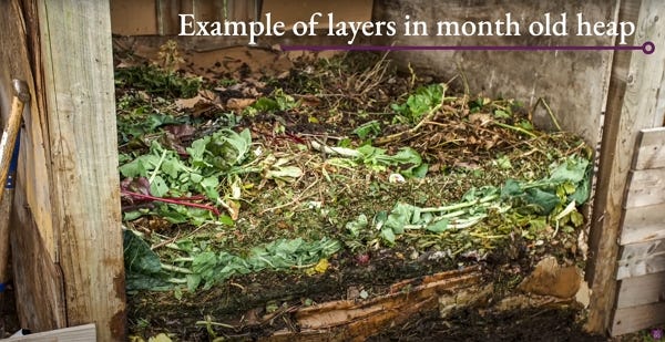 A young compost heap A young compost heap