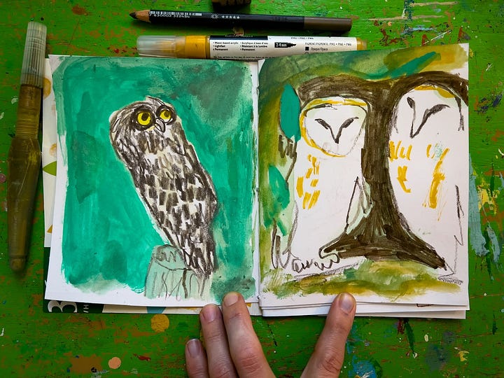 Owl illustrations by Beth Spencer