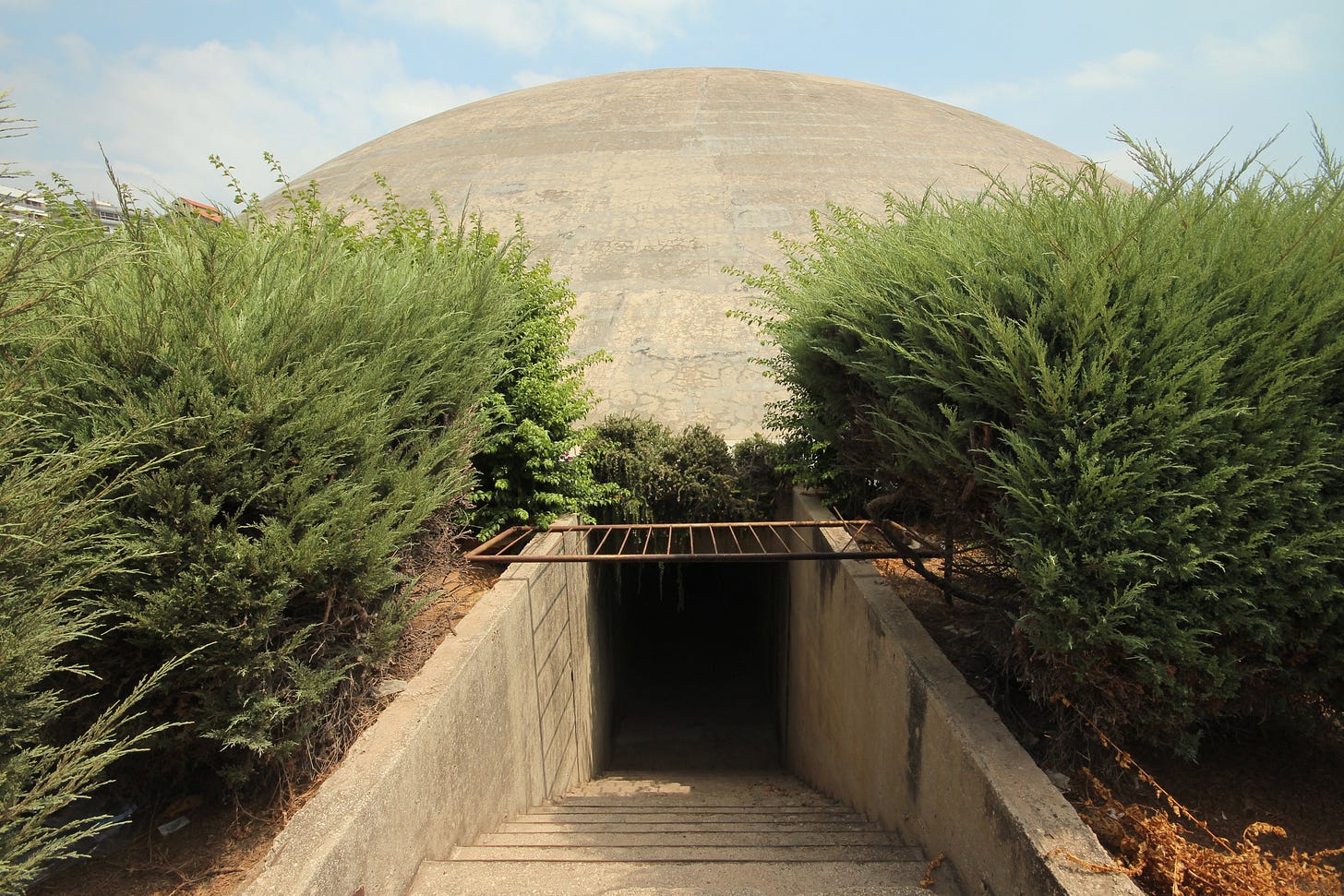 IMG_8686.jpeg IMG_8686.jpeg