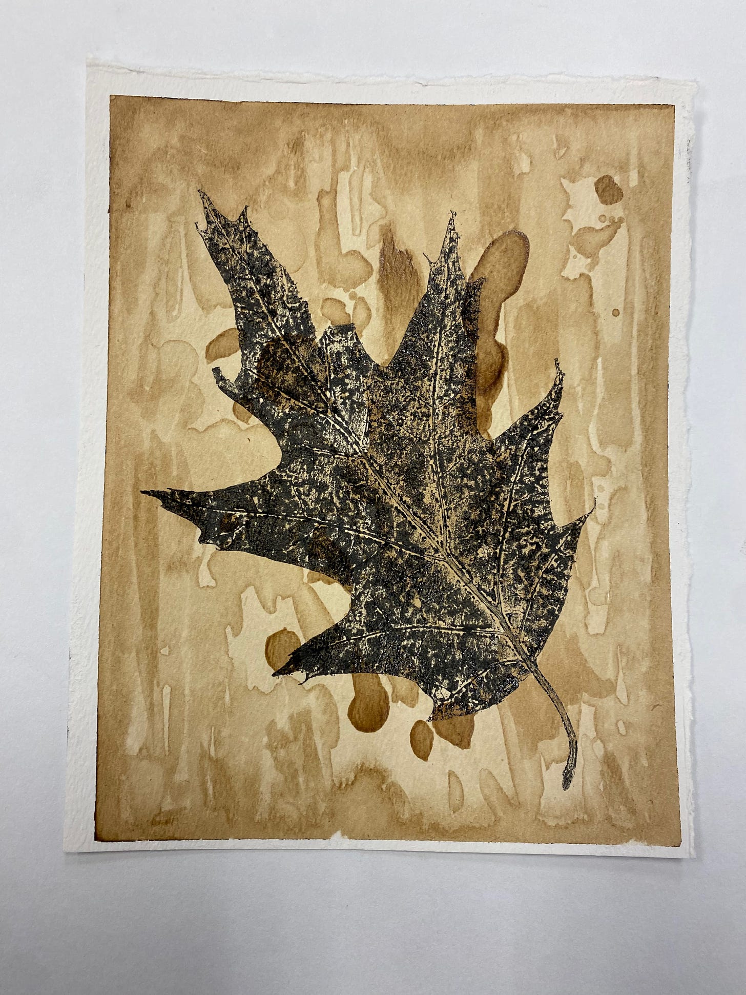 A finished print: an oak leaf on top of a wash of natural ink made with acorns, full of drips and swirling lines.