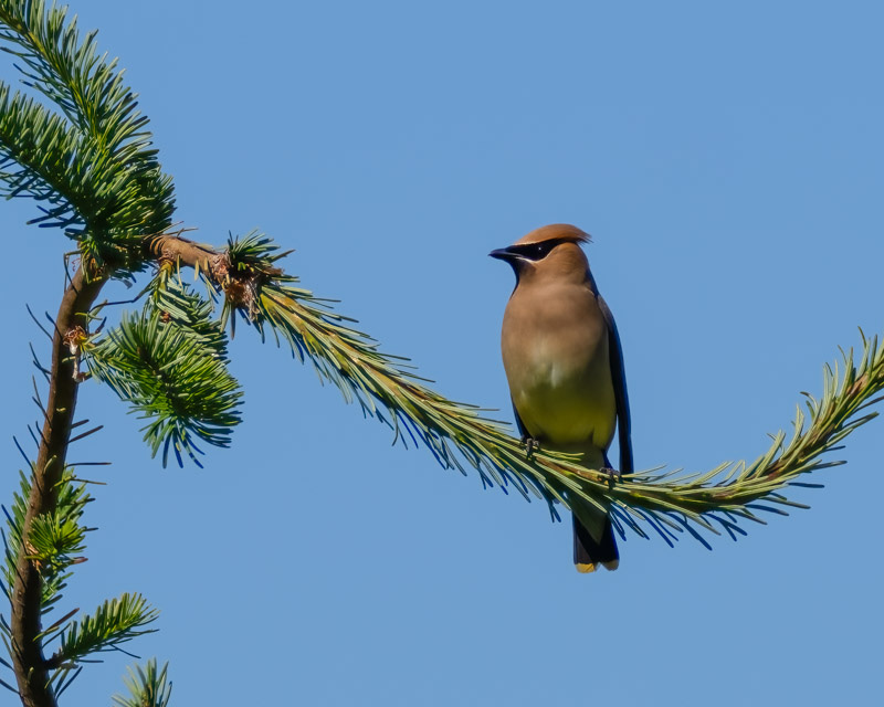 20250610-SJI3-208-Edit.jpg 20250610-SJI3-208-Edit.jpg