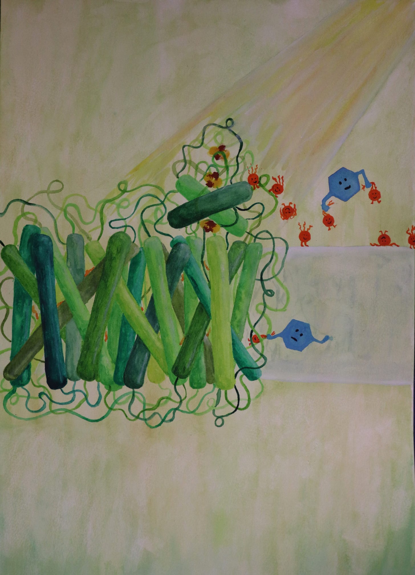 Photosynthesis 'hack' could lead to new ways of generating renewable energy