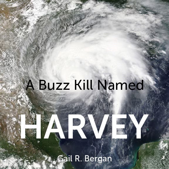 Satellite photo of Hurricane Harvey in the Gulf of Mexico, August 2017, courtesy of NASA. Adobe stock photo. Satellite photo of Hurricane Harvey in the Gulf of Mexico, August 2017, courtesy of NASA. Adobe stock photo.