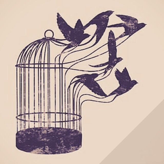 Story pin image
