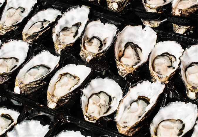 Sydney Rock Oyster Sydney Rock Oyster