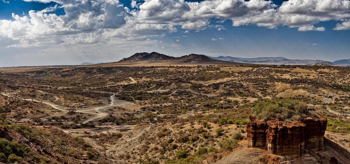 Overview of Olduvai Gorge, Tanzania