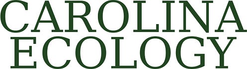 Carolina Ecology
