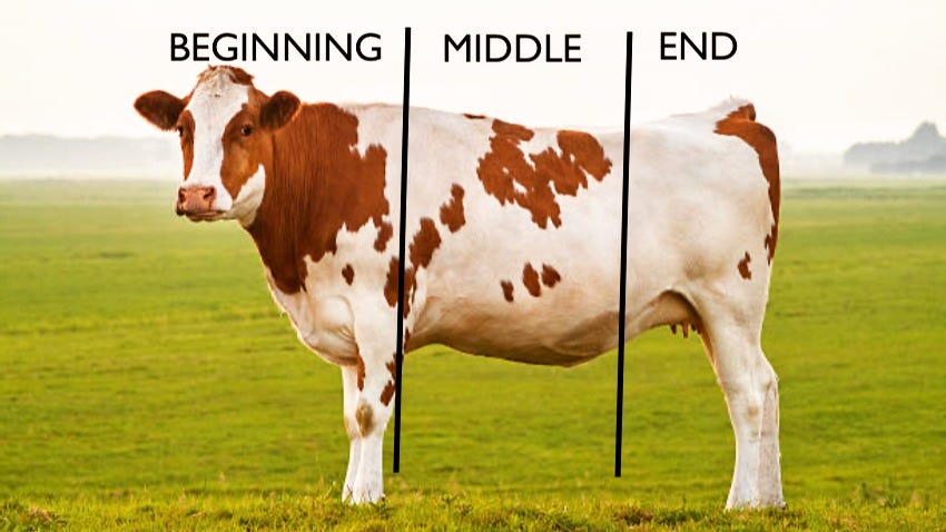 Cow Cow: beginning, middle and end