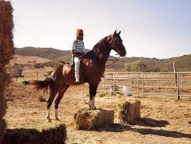 young girl in sunglasses sitting on a brown horse whose front legs are atop a bale of hay