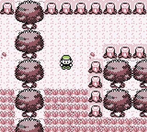 Game UI Database - Pokémon Red & Blue