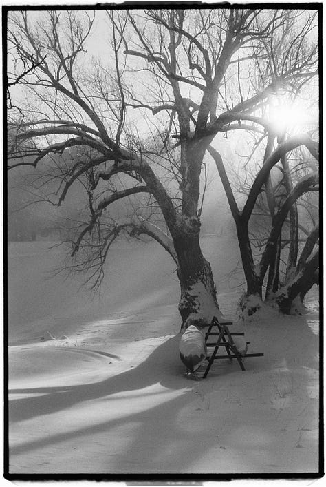 Kodak Tri X film images, photos, pictures